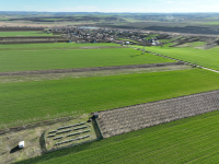Inovații revoluționare pentru o agricultură durabilă