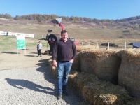 Trai bun și liniștit, asigurat de bovinele Aberdeen Angus