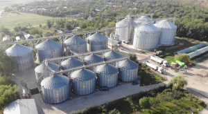 Prețuri pentru grâu, porumb, floarea-soarelui și rapiță