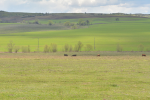 Ce lipsește agriculturii și satului românesc?