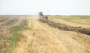 Se reia depunerea cererilor unice de plată, online, din 6 aprilie