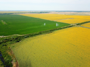 Refacerea infrastructurii hidro-ameliorative, pentru performanță în ferme