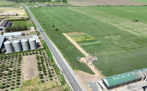 Peste 570.000 de fermieri autorizați la plata avansului din Campania 2024