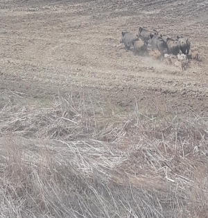 Agricultura, sub semnul întrebării