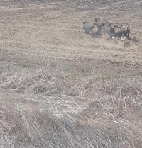 Agricultura, sub semnul întrebării