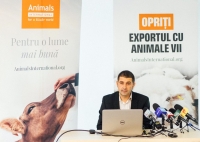 Dispută cu privire la legalitatea însoțirii transporturilor de animale vii către state terțe de veterinari români. „Milioane de animale pleacă din România fără să existe măcar un veterinar la bord” (Păun, Animals International)