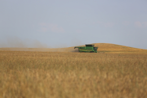 România, din grânar hipermarketul Europei, concluzia târgului virtual de agricultură AGRIBUSINESS 4.0