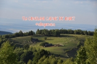 Petre DAEA va lansa campania „Alege OAIA!”. Se vrea păstrarea tradițiilor privind preparatele culinare din această specie
