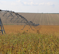 Legea arendei: Votul parlamentarilor români le-a arătat agricultorilor că sunt singuri, pe cont propriu
