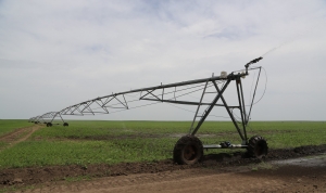 Grupul Syngenta: Reziliența Agriculturii a fost testată de COVID, făcând ca lupta împotriva schimbărilor climatice să fie mai importantă ca niciodată
