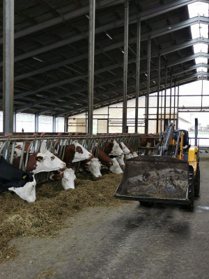 Ferme vegetale și zootehnice ale USAMV Cluj-Napoca, certificate BIO