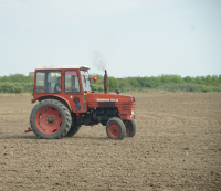 Credit dificil, subvenții insuficiente și capital privat limitat, doar câteva dintre problemele sectorului agroalimentar