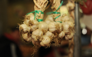 3.000 euro/ha pentru cultivatorii de usturoi