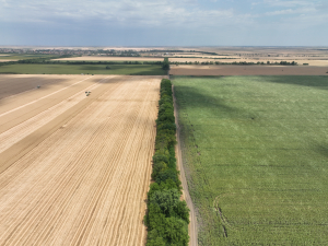 Program național de agricultură inteligentă climatic