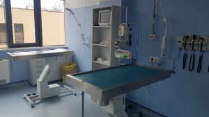 Clădiri cu destinație de cabinete veterinare, în administrarea consiliilor locale