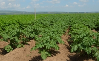 Pierderile pot fi evitate prin folosirea inovațiilor