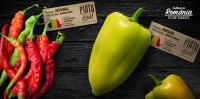 „Medicamentele din grădină” ajung în comerțul modern prin proiectul „Cultivat în România, specific românesc”