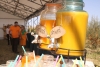 „Nouă negociază mai bine decât unul” este motto-ul care unește nouă cultivatori de cătină în cea mai mare cooperativă de profil
