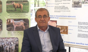 Progres genetic pentru rentabilitate