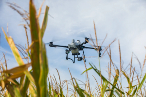 Conferință internațională pentru agricultură