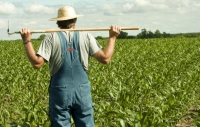 Un sfert din populaţia țării, ocupată în agricultură. Suntem pe locul I în UE
