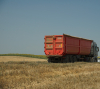 Importurile de grâu, porumb, rapiță și floarea-soarelui din Ucraina, interzise în România și alte patru state UE până la data de 5 iunie 2023