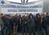 Rezultat previzibil al protestelor medicilor veterinari: „Dialogul pe aceste teme va fi reluat în perioada convenită anterior, 16 – 20 aprilie 2018”, (ANSVSA)