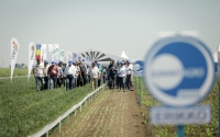 2017: APPR a testat un insecticid Summit Agro în trei locații din țară