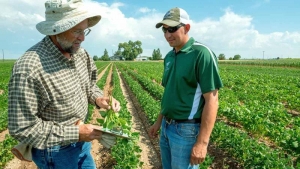 Liceele agricole și GAL-urile, soluții de viitor pentru revitalizarea consultanței agricole