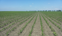 Reducerea pierderilor de azot, pentru o agricultură sustenabilă