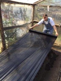 În 10 zile, 1.100 de cereri de înscriere în programul de sprijin pentru tomate cultivate în sere și solarii. „Este un program al cărui randament se va resimți progresiv”, Daniel Botănoiu