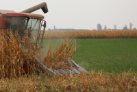 Criza datoriilor din agricultură. Realități, dorințe și soluții