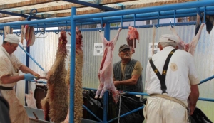 Centru de sacrificare a mieilor, deschis în Capitală