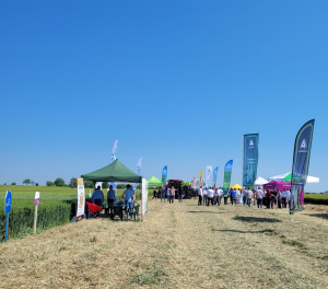 În inima Bărăganului, un târg al fermierilor - FarmConect România