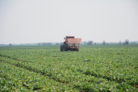 Fabrică de îngrășăminte nouă, un proiect al unor ingineri români, la Slobozia – Ialomița