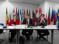 Creșterea ambiției ecologice a agriculturii, principala direcție de urmat identificată în Comunicarea Comisiei Europene asupra viitorului sectorului, (Dumitru, DG AGRI)