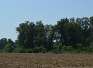 Comisia Europeană, cu spatele la agricultură