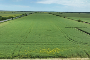 Campania 2025: S-au depus 708.012 cereri de plată pentru 9.875.710,11 ha