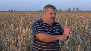 Poveștile ,,bruxelleze” în agricultură. Azi, despre reducerea pesticidelor