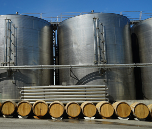 4,4 milioane hectolitri de vin, producție în creștere pentru țara noastră, în 2023