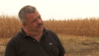 Agricultura „cheltuielilor pe caiet” se apropie de colaps