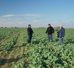 Instruirea și perfecționarea managerilor, prioritate pentru cooperativele agricole