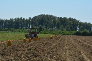 Măsura 21, modificări în favoarea producătorilor, care suspendă pentru o zi solicitarea sprijinului