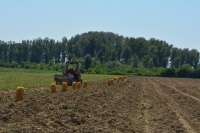 Măsura 21, modificări în favoarea producătorilor, care suspendă pentru o zi solicitarea sprijinului