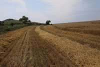 GAEC 6, completări și clarificări de la MADR
