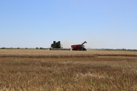 Prețuri actualizate la fiecare trei luni, în Baza de Date AFIR pentru utilaje și echipamente agricole și neagricole