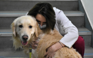 „Zilele Facultății de Medicină Veterinară”, 13-15 mai 2022