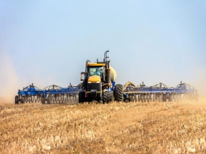 Fermierii hunedoreni au semănat 30% din suprafețele arabile