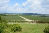Produse agricole promovate cu bani europeni. Contribuţia UE - 85% din valoarea cheltuielilor eligibile