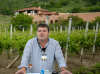 Criza pieței vinului românesc. Greșeli din trecut, prezent în șoc și căi de ieșire
